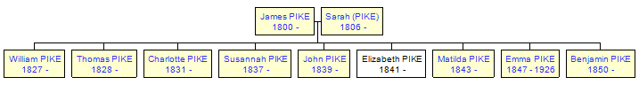 Mini tree diagram