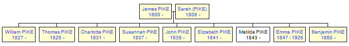 Mini tree diagram