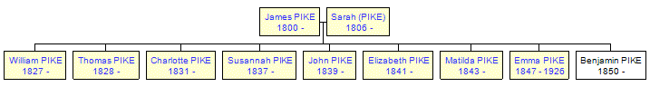 Mini tree diagram