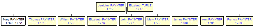 Mini tree diagram