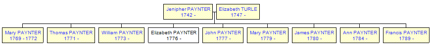 Mini tree diagram