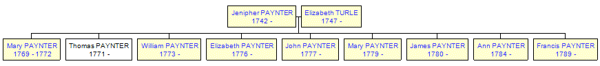 Mini tree diagram