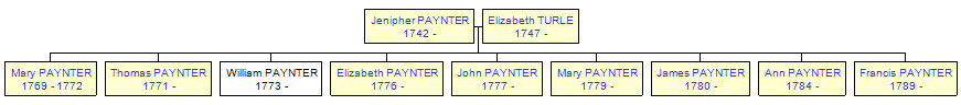 Mini tree diagram