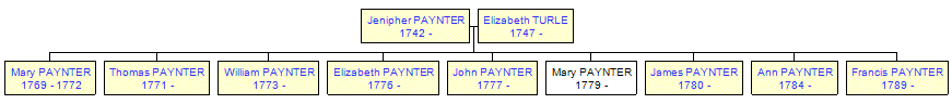 Mini tree diagram