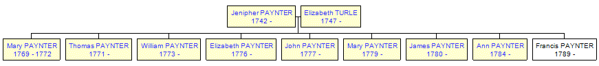 Mini tree diagram