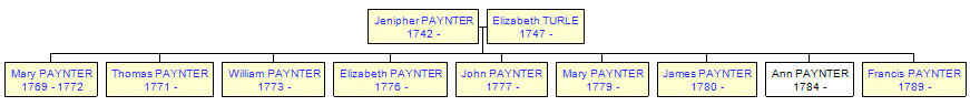 Mini tree diagram