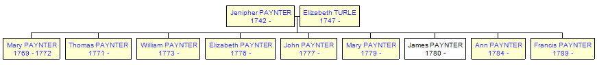 Mini tree diagram