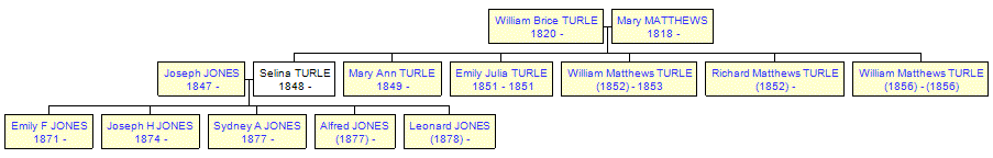 Mini tree diagram