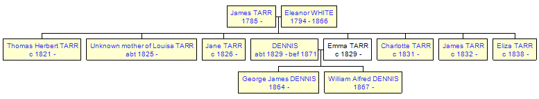 Mini tree diagram