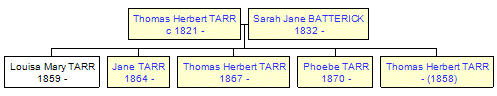 Mini tree diagram