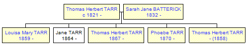 Mini tree diagram