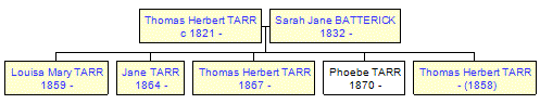 Mini tree diagram