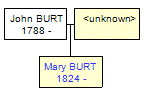 Mini tree diagram