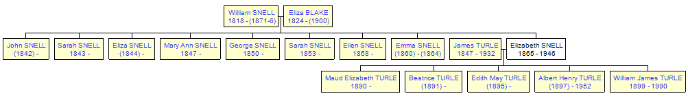 Mini tree diagram