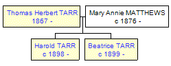 Mini tree diagram