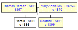 Mini tree diagram