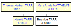 Mini tree diagram