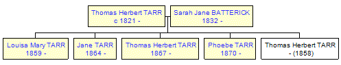 Mini tree diagram