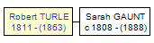 Mini tree diagram