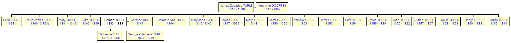 Mini tree diagram