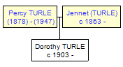 Mini tree diagram