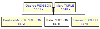 Mini tree diagram