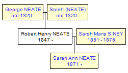 Mini tree diagram