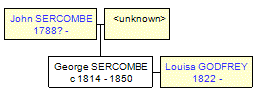 Mini tree diagram