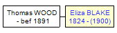 Mini tree diagram