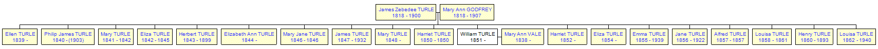 Mini tree diagram