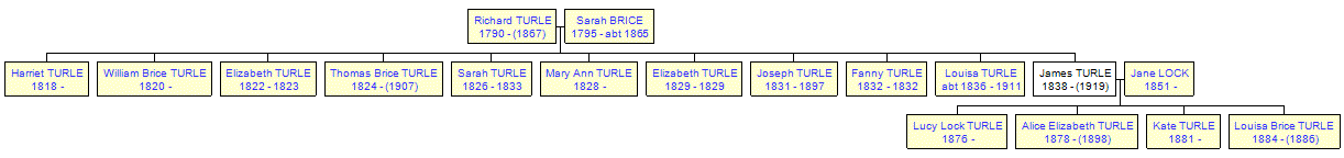 Mini tree diagram