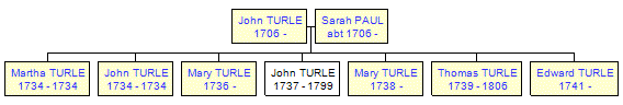 Mini tree diagram