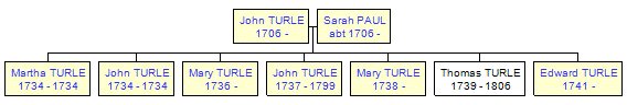 Mini tree diagram