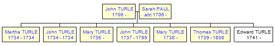 Mini tree diagram