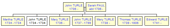 Mini tree diagram