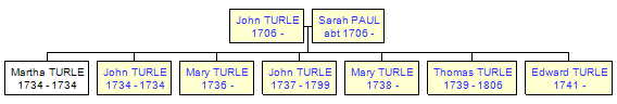 Mini tree diagram