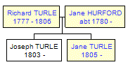 Mini tree diagram