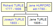 Mini tree diagram